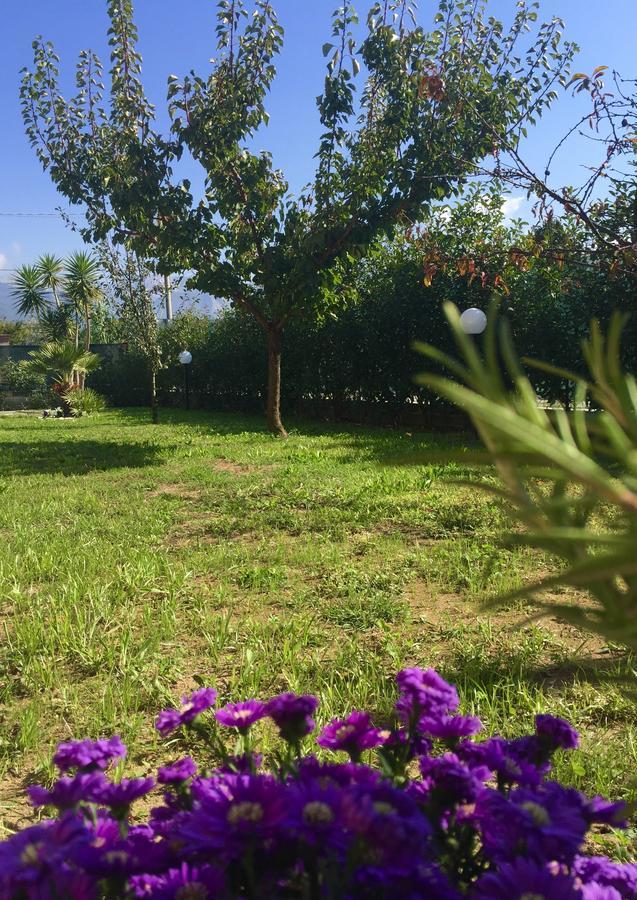 Bba2Passi Bed and Breakfast Marina di Massa Buitenkant foto